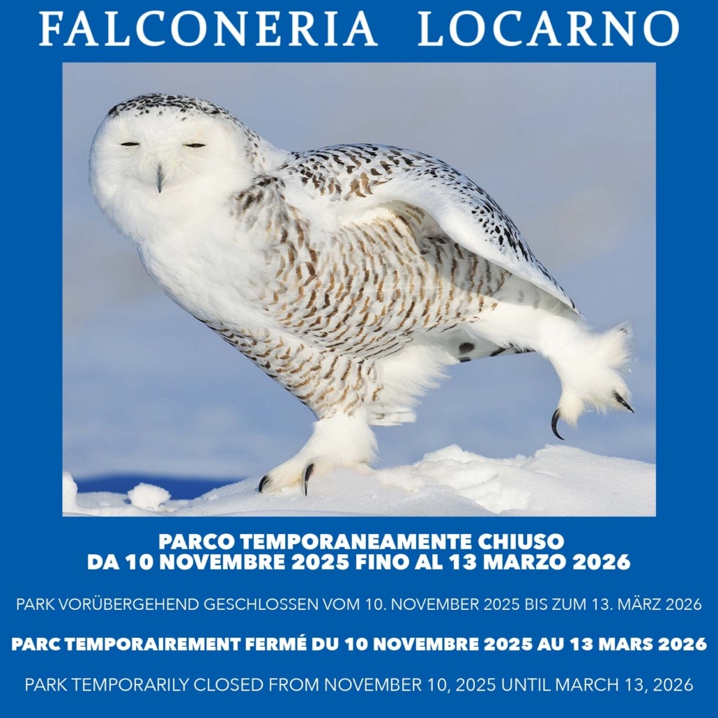 CHIUSURA PARCO NOV2025-MAR2026 FR