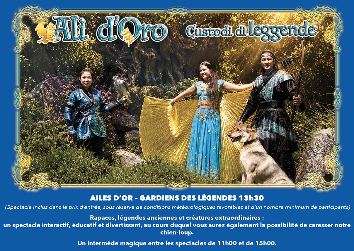 SHOW1330_2026-FR